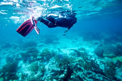 El arrecife de coral de Belice, una enorme atracción turística antes de la pandemia.