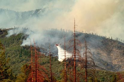 California ha sido otra de las grandes afectadas por los incendios durante todo el año. A finales de julio, en el norte comenzó el denominado incendio 'Mendocino Complex', un fuego que se propagó durante 11 días con un total de 114.800 hectáreas abrasadas por las llamas, siendo este el peor incendio de su historia. La gran cantidad de árboles muertos por la sequía y los escarabajos de corteza han permitido que los incendios forestales se propaguen rápidamente. En la foto, árboles muertos se alinean en un claro cuando un helicóptero que lucha contra el fuego Ferguson pasa por detrás en el Bosque Nacional Stanislaus, California, el 22 de julio de 2018.