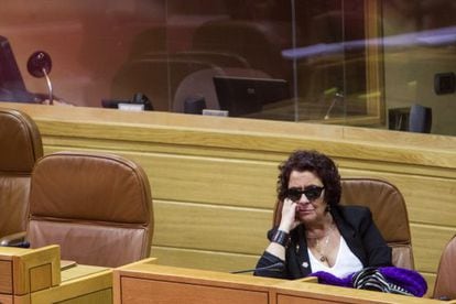 Carmen Iglesias en el Parlamento