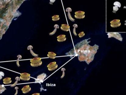Mapa estacional de la aparici&oacute;n de medusas en verano