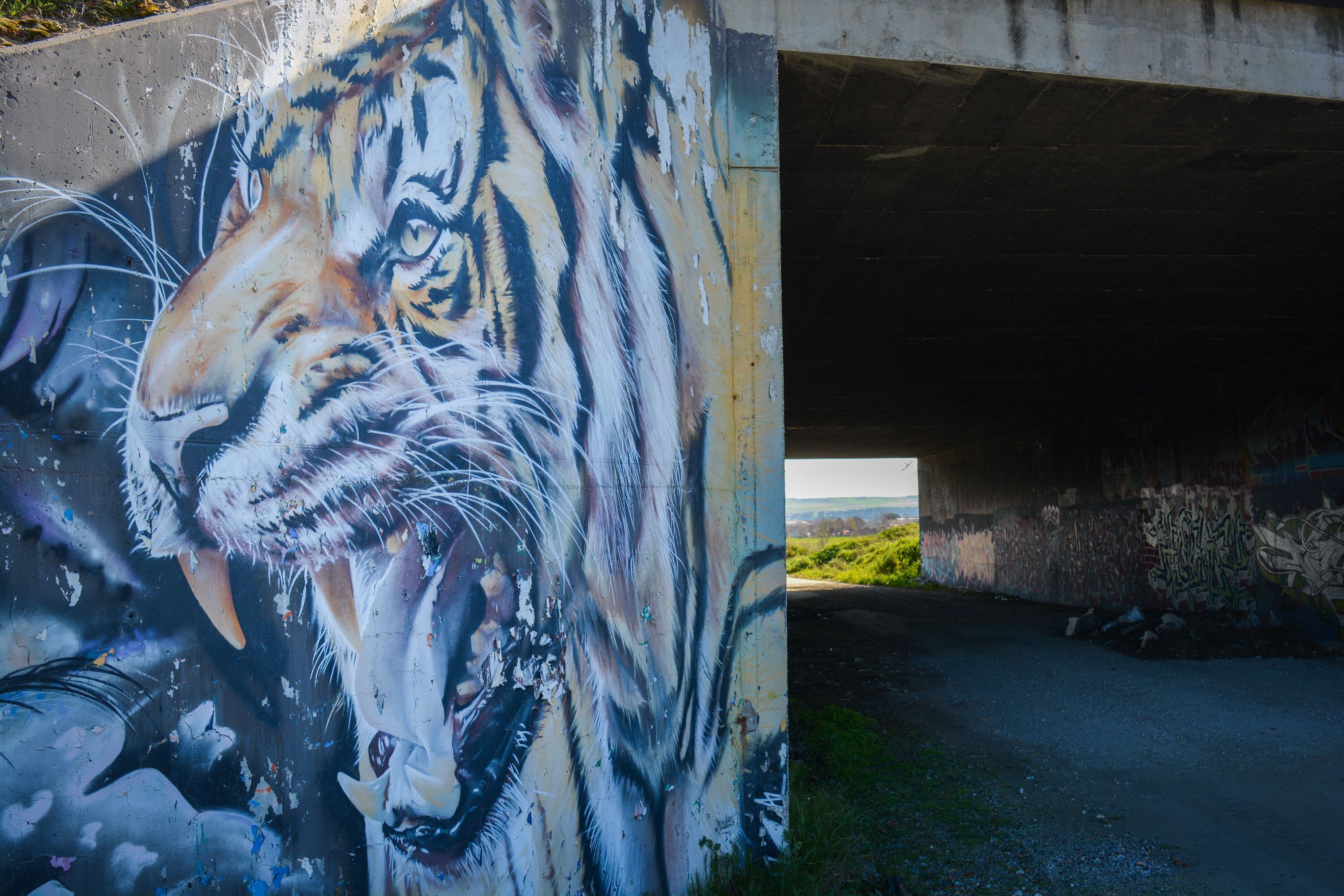 Pieza de arte urbano, pintada a las afueras de San Sebastián de los Reyes.