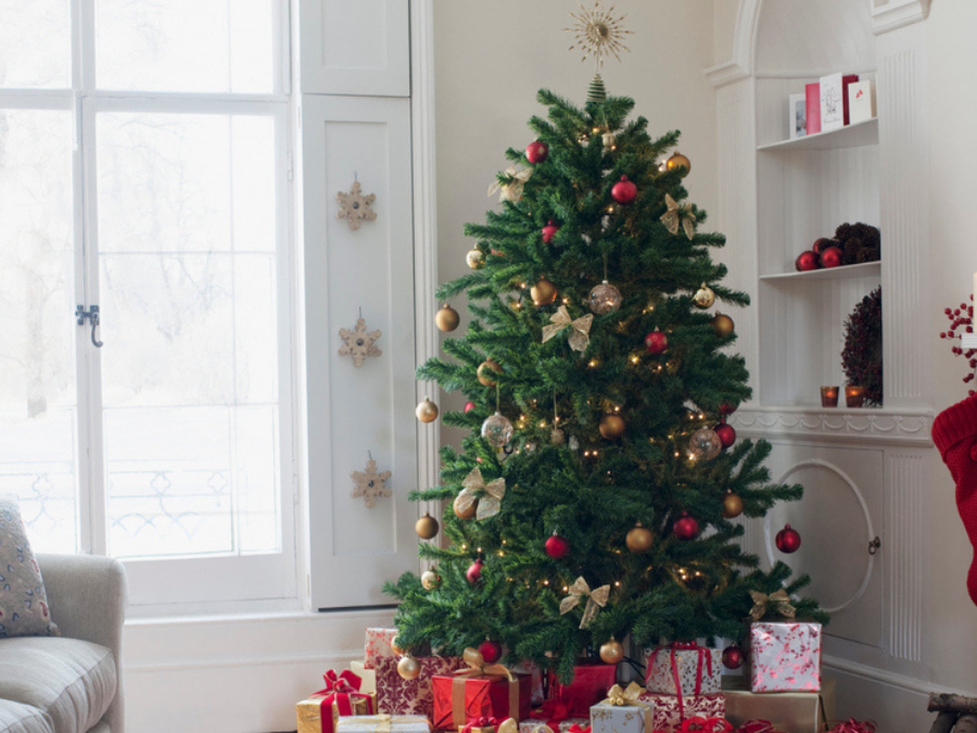 Los mejores árboles de Navidad para decorar el salón de casa o el jardín |  Escaparate: compras y ofertas | EL PAÍS