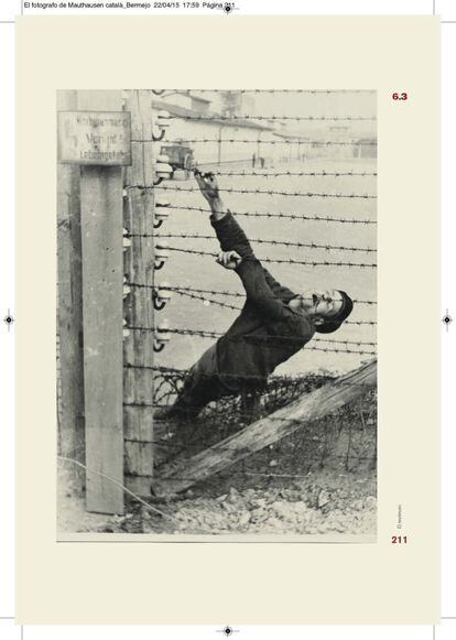 Un prisionero de Mauthausen muerto en una de las alambradas electrificadas del campo nazi. Con la colaboración de otros presos españoles y de Anna Pointner, una vecina del pueblo de Mauthausen, Francisco Boix consiguió sacar del campo miles de negativos que sirvieron como prueba en los juicios de Núremberg.