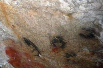 Imágenes de manos en la cueva de Gargas, en Francia.