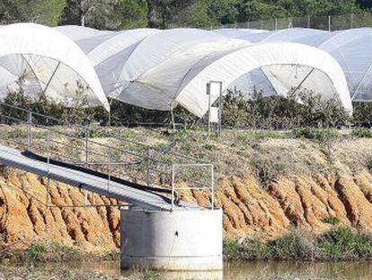 Invernadero regado con un pozo en la zona de Moguer y Palos (Huelva), pr&oacute;xima a Do&ntilde;ana.