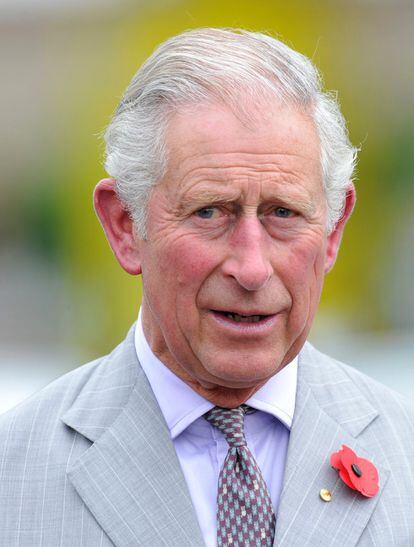 El príncipe Carlos, heredero de la corona británica, ha dado positivo en Covid-19, aunque se encuentra bien. El príncipe de Gales, de 71 años, presenta síntomas leves, mientras que su mujer, la duquesa de Cornualles, ha dado negativo.