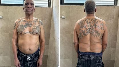 José Wilfredo Ayala, alias 'El Indio de Hollywood', tras su arresto en Ciudad de México, el 17 de abril en Ciudad de México.