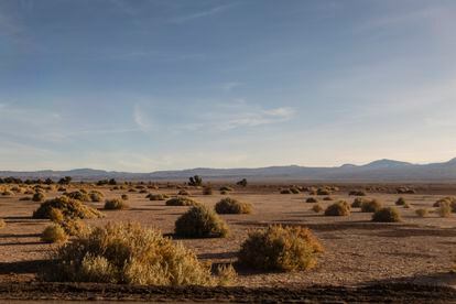 El paisaje desértico del sector Chajnantor, San Pedro de Atacama, donde se ubica el observatorio ALMA.