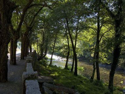 Un tramo del curso del r&iacute;o Tea a su paso por Mondariz.