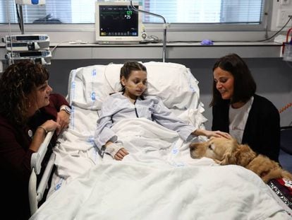 Inés, de 12 años, recibe la visita del perro Zenit en el Hospital 12 de Octubre.