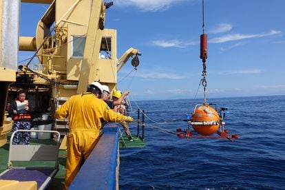 Works on the research project of the UNAM and the University of Kyoto in the seismic gap of Guerrero.