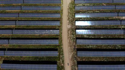 Una planta fotovoltaica en la provincia de Cáceres.