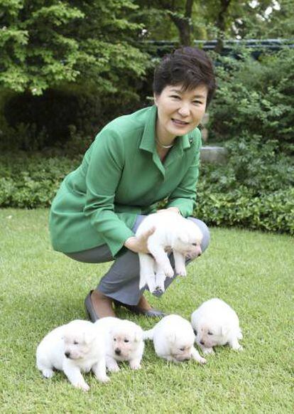 La expresidenta de Corea del Sur, Park Geun-hye, con algunos de sus cachorros Jindo en 2015.