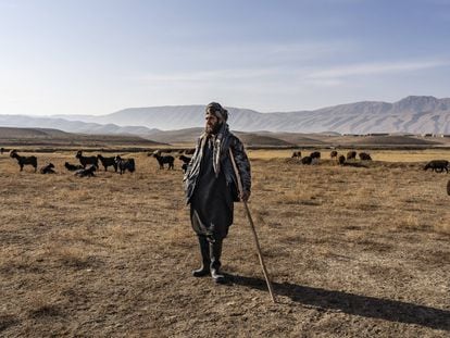 Afganistán: vivir con dignidad pese a las adversidades de una guerra eterna