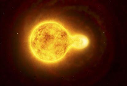 Ilustración facilitada por el Observatorio Europeo Austral (ESO) de la HR 5171, una hipergigante amarilla, poco usual, con solo una docena de ejemplares conocidos en nuestra galaxia. Su tamaño es unas 1.300 veces el tamaño del Sol, lo que la convierte en una de las diez estrellas más grandes detectadas hasta el momento, según informa el ESO.