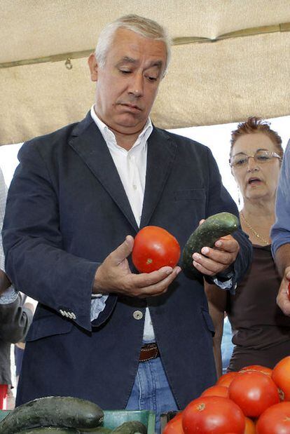 Javier Arenas, en el mercado de Carmona.