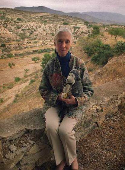 Jane Goodall.