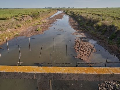 El bajo nivel del agua en un canal cercano a San José de la Esquina, en la provincia de Santa Fe (Argentina), el 16 de enero de 2023.