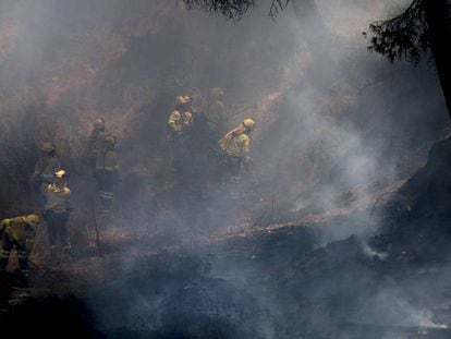 Un retén de Bomberos apaga un rebrote del fuego en las cercanías del Parador Nacional de Mazagón.