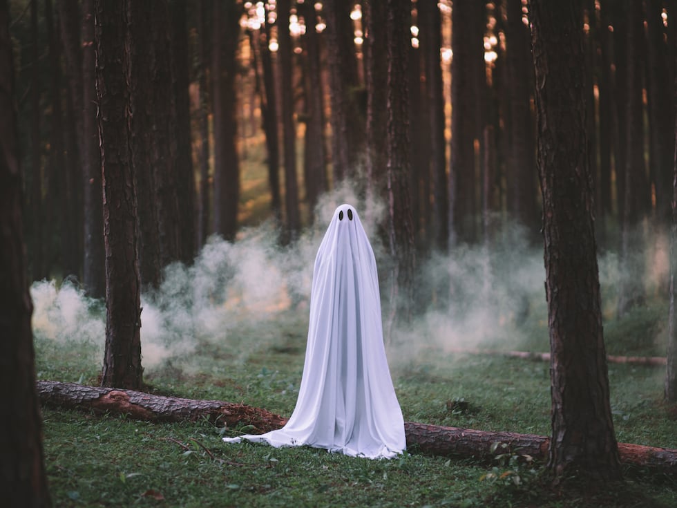 Halloween 2020: Los fantasmas se multiplican con la pandemia | Babelia | EL PAÍS