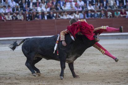 Manuel Escribano, cogido en su segundo toro.