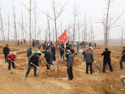 Decenas de personas plantan árboles en Rizhao, en la provincia china de Shandong, en marzo de 2016.