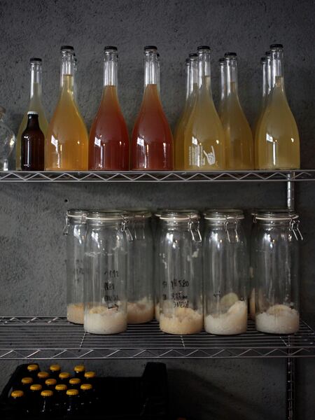 botellas de soda de miel, de jenjibre, cúrcuma y debajo botes con kéfir con las que Rubén las elabora