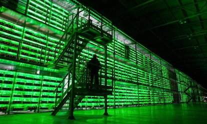 Un guardia armado recorre las instalaciones del BitRiver Rus LLC, la granja de bitcoins más grande de Rusia, ubicada en Bratsk. Estas instalaciones albergaron antaño el mayor centro de datos de la URSS. Hoy tiene clientes
de Japón, China o EE UU, la mayoría de ellos mineros de bitcoin.