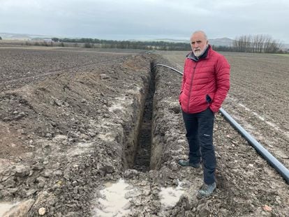 Carlos Sanz, junto a la zanja de un 1,5 metros de profundidad y 250 metros de longitud abierta en Pintia.