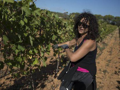 Una trabajadora recoge uve en la región de Provenza (Francia).