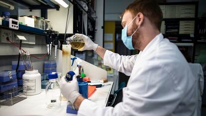 Un científico del Centro Nacional de Biotecnología, en la Universidad Autónoma de Madrid, investigaba en 2020 una vacuna contra la covid.