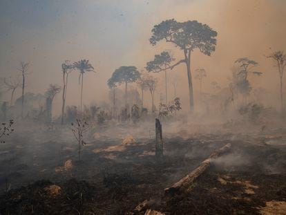 Un incendio en la Amazonia.