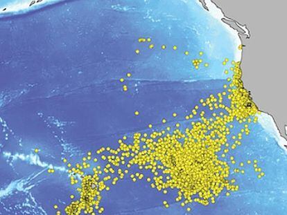 El gráfico muestra la circulación de 47 tiburones blancos seguidos por satélite frente a Baja California.