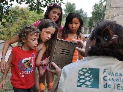 Un grupo de niños durante una de las actividades de la Fundació Catalana de l'Esplai este verano.