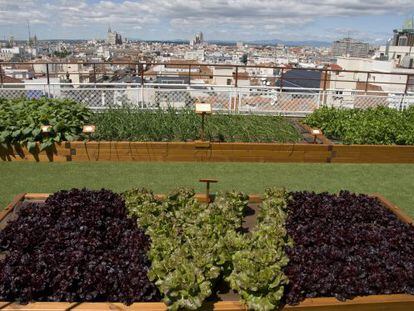 El restaurante Las Raíces está en lo alto del madrileño hotel Wellington.