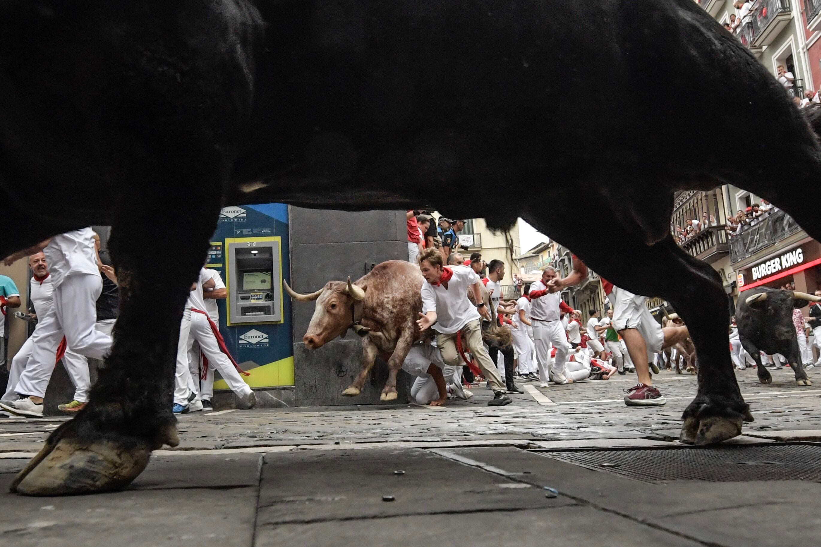 Los toros de la ganadería de Núñez del Cuvillo a su paso por la curva de Mercaderes.