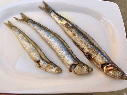 Fritura en el restaurante ChinChin. Impecables los dos boquerones más pequeños. El boqueron grande a la plancha / Capel