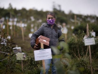 Una mujer porta una urna con cenizas de un familiar, muerto por complicaciones relacionadas con la covid-19 en la Reserva Natural El Pajonal de Cogua, al norte de Bogotá, Colombia.