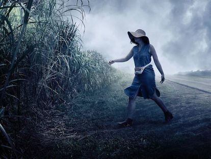 Fotograma de 'In The Tall Grass', la película inaugural de la edición de este año en Sitges.