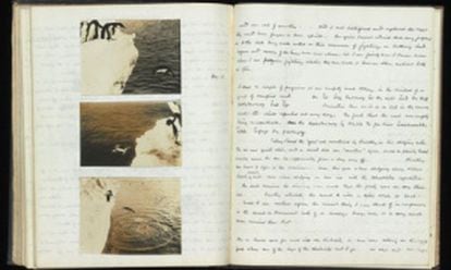 Cuaderno de notas de George Murray Levick sobre los pingüinos.