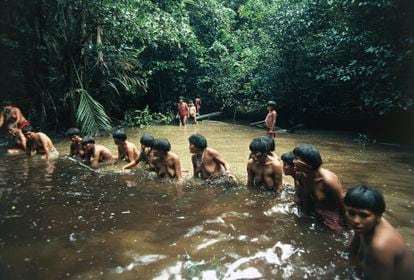 Indigenous people of the Yanomami ethnic group fish in the Venezuelan Amazon.