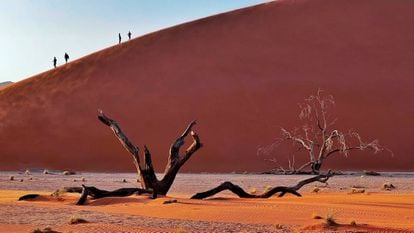 Paisaje de dunas en un desierto en Namibia.