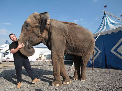 El gerente del Circo Queirós, Nacho Pedrera,  junto a su elefanta Dumba, en una foto de archivo.