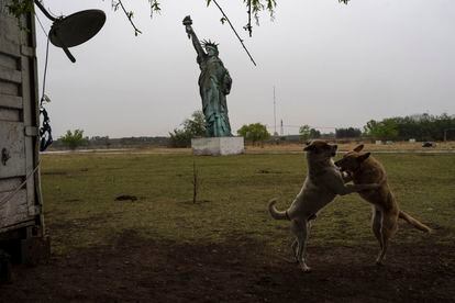 Dogs frolic near a 49-foot replica of a Statue of Liberty, in General Rodriguez, Argentina, Saturday, Oct. 15, 2022. The structure is a leftover from the "Liberty Motocross" circuit operated there years ago, according to the caretaker of the property, Pablo Sebastián. (AP Photo/Rodrigo Abd)
