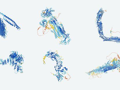 Protein structures predicted by the AlphaFold artificial intelligence system.