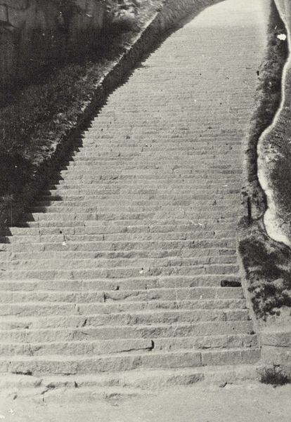 Escalera de la cantera de Mauthausen, de 186 peldaños, donde se dejaron la vida cientos de prisioneros. Según Francisco Boix, la historia del campo calcula un hombre muerto por cada losa de los peldaños.