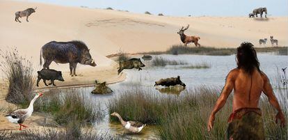 Recreation of the lacustrine dune system of the area that Doñana occupies today 150,000 years ago.