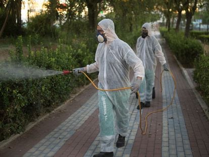 Operarios fumigan unos jardines en Coria del Río en un intento del Ayuntamiento por detener al virus del Nilo, el pasado sábado.