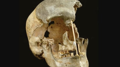El cráneo de una mujer que vivió hace unos 45.000 años en República Checa, uno de los restos analizados.
