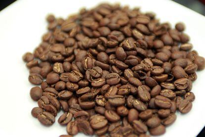 Según Juan Rodríguez, director general de La Mexicana, el café bien tostado es aquel que, como este de Kenia, muestra un aspecto claro y conserva parte de la membrana.